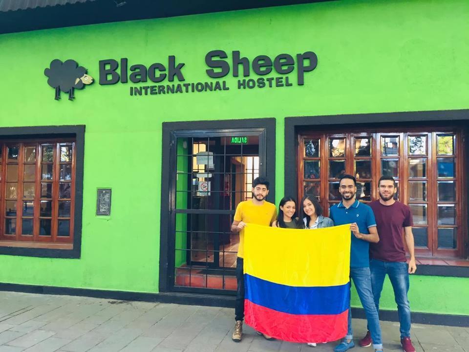 Black Sheep International Hostal