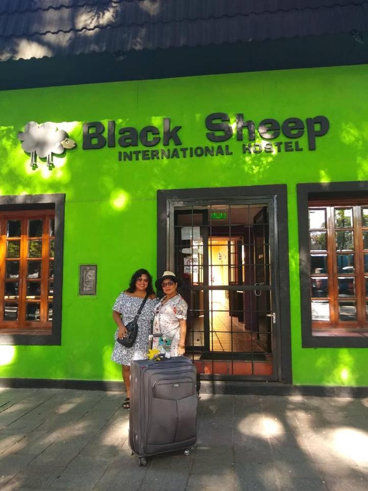 Albergue Black Sheep International