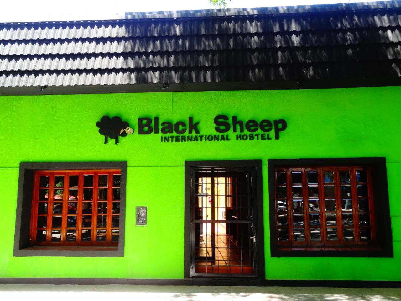 Albergue Black Sheep International *